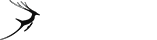 催化业务增长的网络电话在线发送
